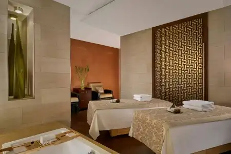The Ritz-Carlton, Vienna - 45