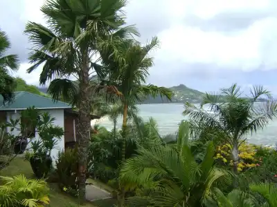 Chalets Bougainville - 19
