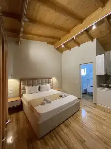 Arial Penthouse Suites - 204