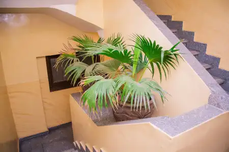 Guardian Guest House - 9