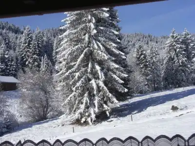 Schwarzwald-Pension Kräutle - 27