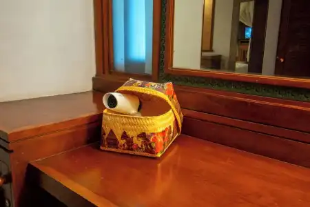 Alam Puri Art Museum and Villas - 19