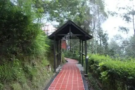 Chautari - 9