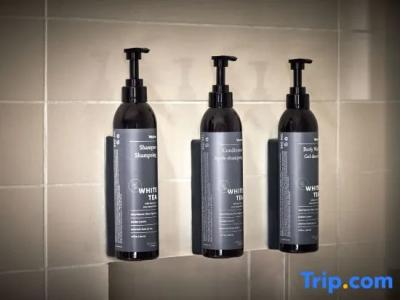 Cambria Downtown Phoenix Convention & Airport - 85