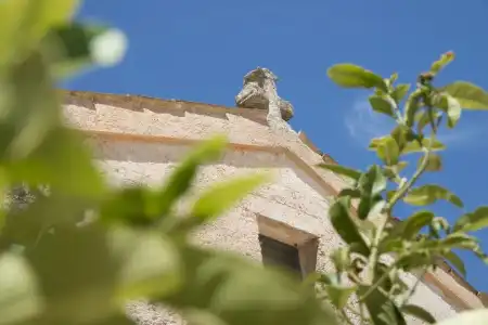 Masseria Santo Scalone - 0