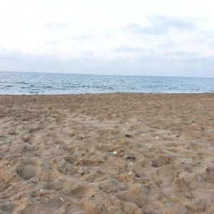 Kathrin Beach - 47