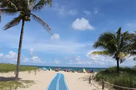 Ocean Mile - 16
