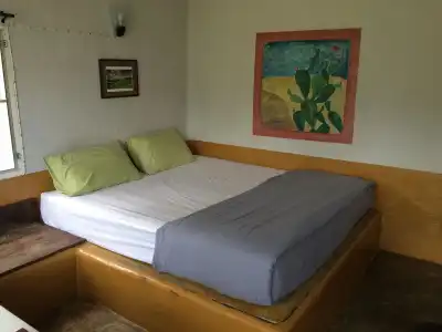Canary Guesthouse - 4