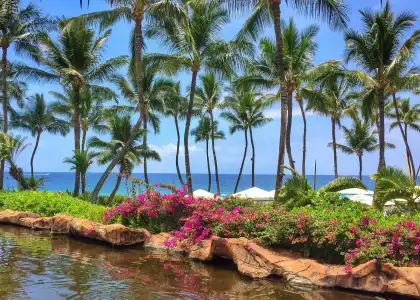 Ho‘olei Villas at Grand Wailea - 13