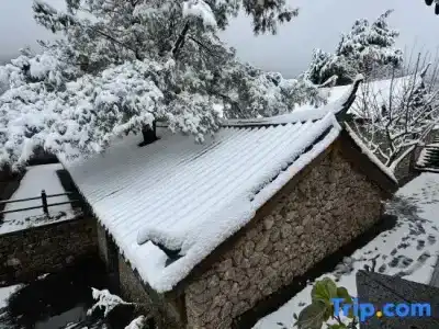 Xuema Yulong - 18