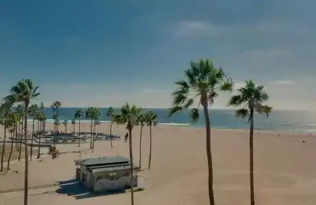 Venice V - 17
