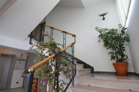 Aria di Mare - Bed & Brunch in Centro a Riccione - 14