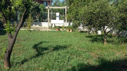 Elenas Garden - 30