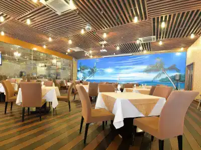 Vili International - 7