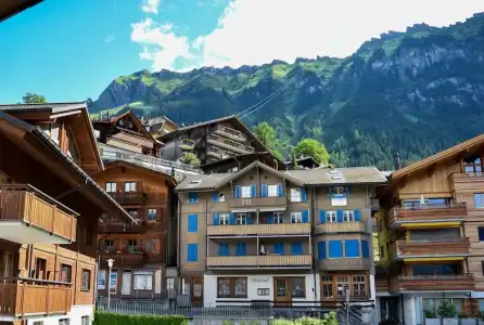 Alpenkräuter Bären - 34
