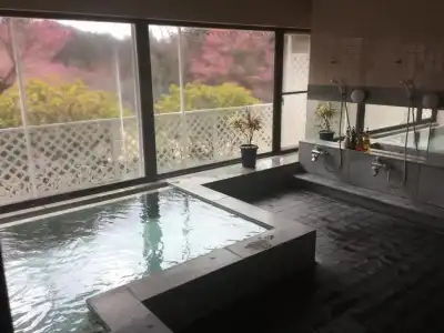 Utsunomiya Inter Resort & Golf Tsuru Country Club - 4