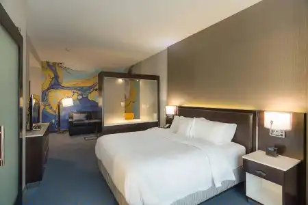 SpringHill Suites by Marriott Fort Worth Fossil Creek - 61