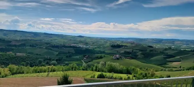 Villa Bellavista Alba - 91