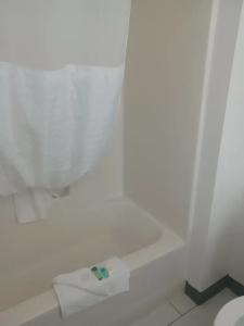 Comfort Inn & Suites Madison East Interstate I-90 - 60