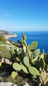 Volito - Rural Experience - 12