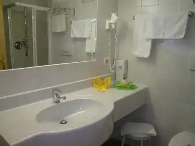 Schwarzer Adler - 18