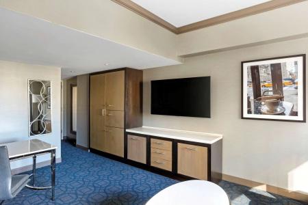The Hilton Club - New York - 19