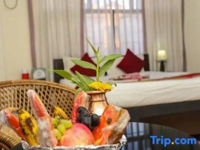 Thamel Eco Resort - 99
