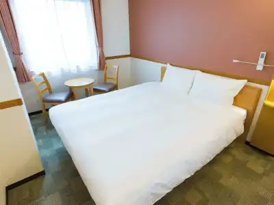 Toyoko Inn Toyohashi Station Higashi - 78