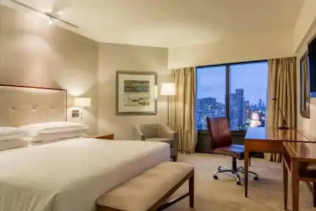 Sheraton Buenos Aires & Convention Center - 62