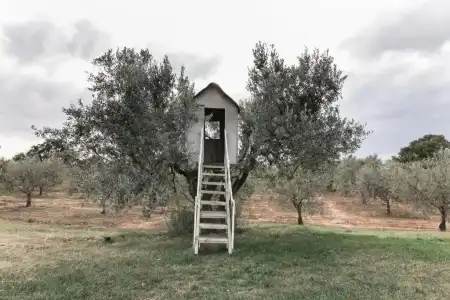 Agriturismo Podere l'Agave - 6