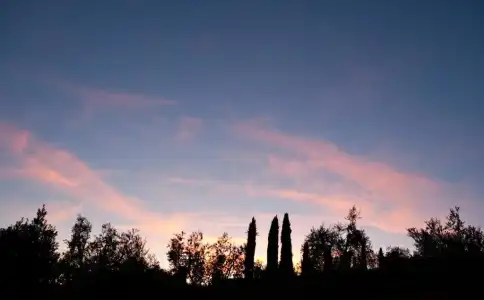 Villa Cappugi - 94