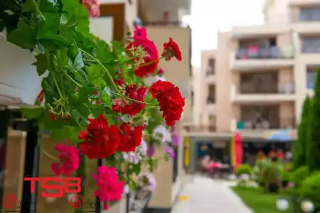 TSB Sunny Victory Apartments - 142