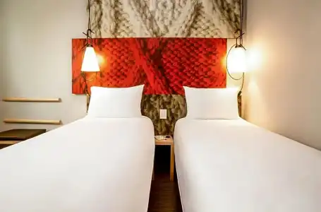 Hôtel Ibis Toulouse Purpan - 46