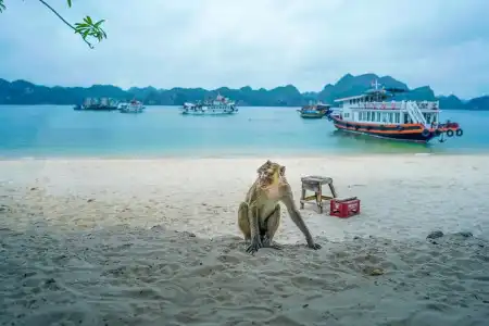 Halong Fantasea Cruise - 107