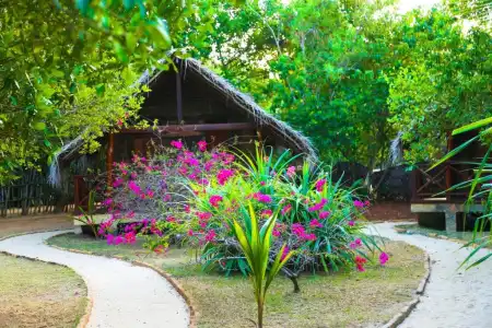 Seagulls Beach & Garden Cabanas - 16