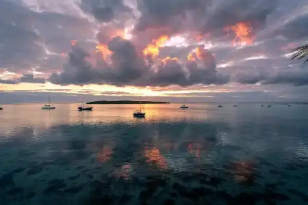 Preskil Island Resort - 43