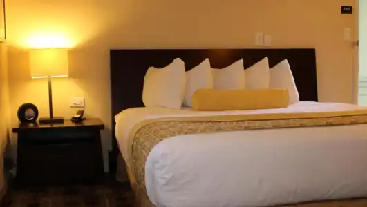 The Zen Palo Alto - 25