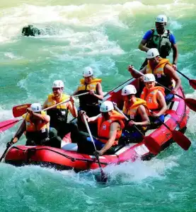 Almdorf Flachau - Luxus Hüttenurlaub - 17