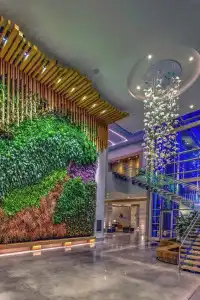 Marriott Virginia Beach Oceanfront Resort - 0