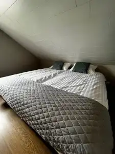 Sauðanes Guesthouse - 37