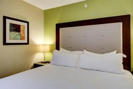 Comfort Inn & Suites Saint Louis Lafayette Square - 32