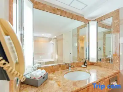 Grand Skylight Royal - 86