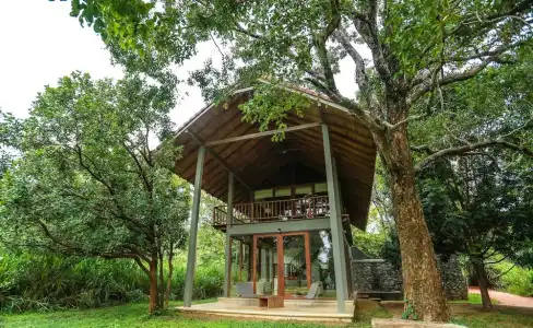 Wild Grass Nature Resort - 50