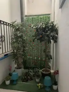 Pension Giraldilla - 16