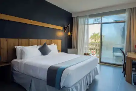 Giraffe Ocean View - 17