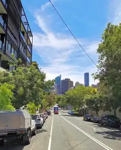 Sydney Wattle - 24