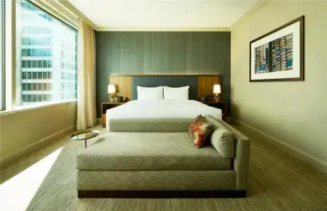 Hyatt Centric Chicago Magnificent Mile - 49