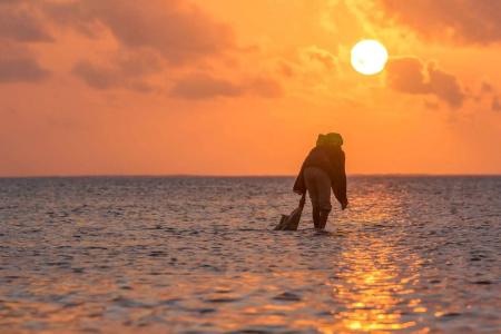 Hakuna Majiwe Beach Lodge - 23