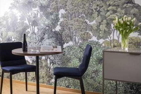 Hôtel du Dragon - 92