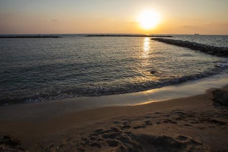 Venus Beach - 22